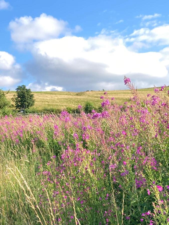 Hotspur House Bed and Breakfast Allendale Εξωτερικό φωτογραφία